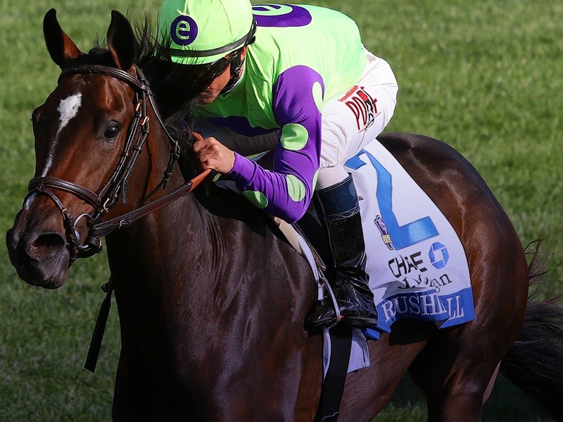 Preview: Breeders' Cup Filly and Mare Turf 2020 ( Horses, Ra ...
